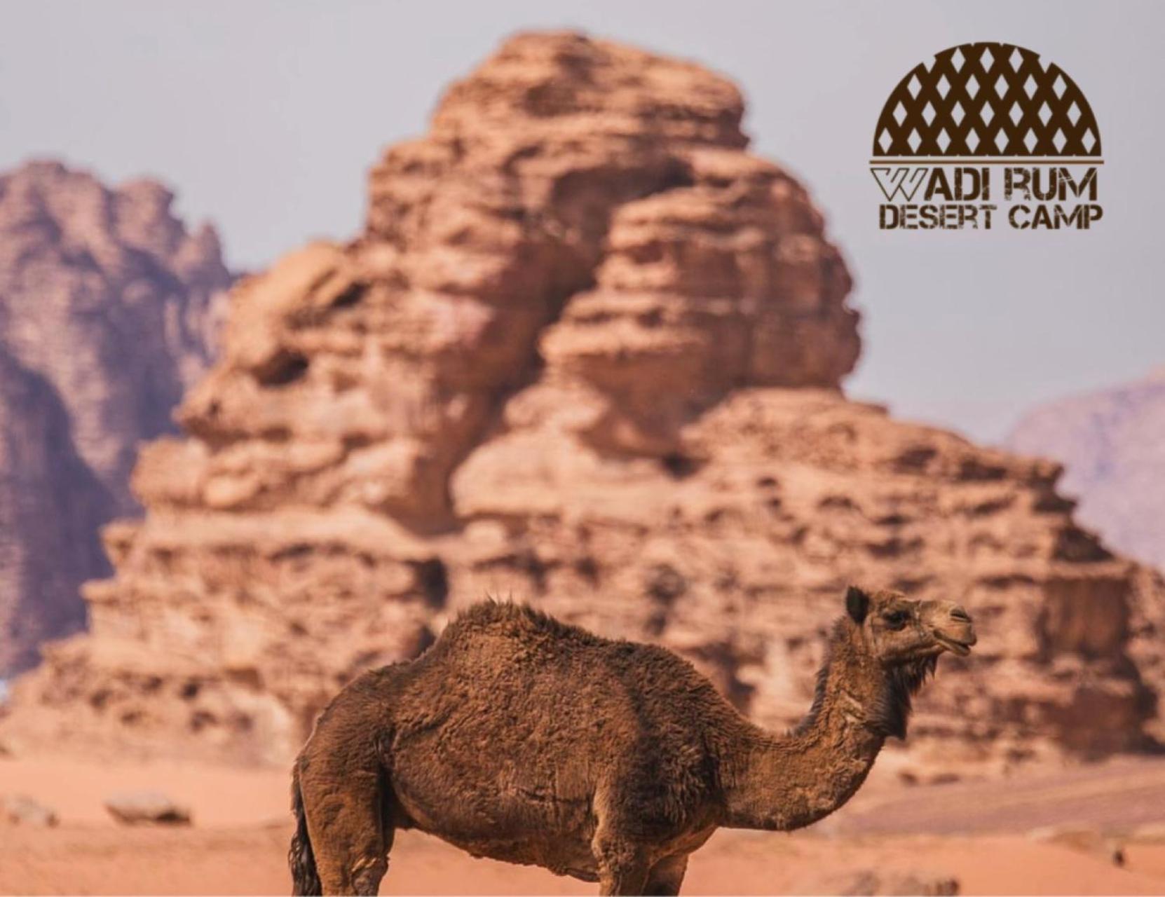 Wadi Rum Desert Camp Bagian luar foto